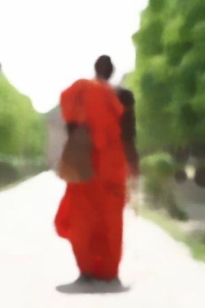 la tigre e il papavero