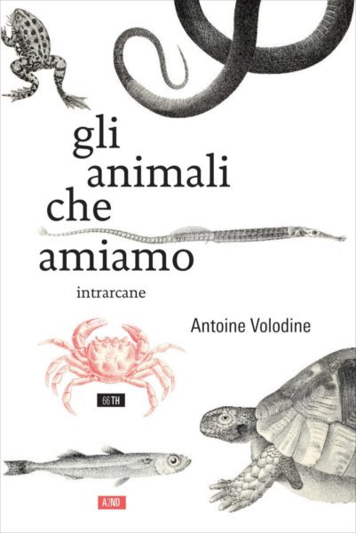 Gli animali che amiamo: favole dal post-esotismo